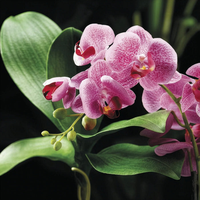 40" Silk Phalaenopsis Orchid Flower Spray -Orchid/Violet (Pack of 12) - FSO110-OC/VI