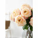 20" Silk Cabbage Rose Bud Flower Stem -2 Tone Pink (Pack of 12) - FSR839-PK/TT