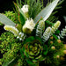 12" Artificial Sedum Flower Spray Pick -Green (Pack of 24) - FSS012-GR