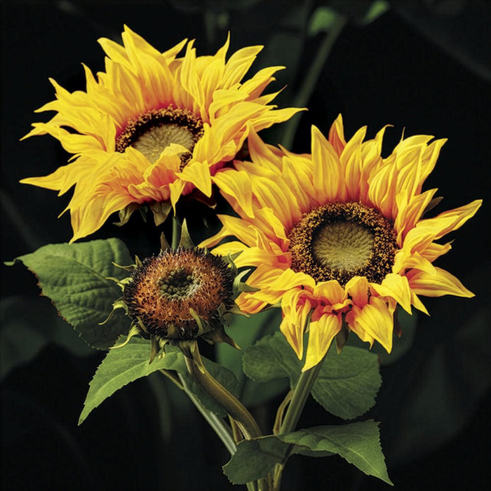 28" Artificial Sunflower Flower Spray -Brown (Pack of 12) - FSS463-BR