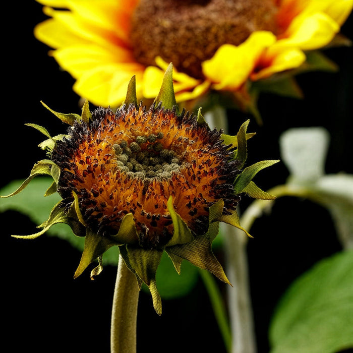 28" Artificial Sunflower Flower Spray -Brown (Pack of 12) - FSS463-BR