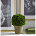 9.8" Preserved Celosia Ball-Shaped Topiary w/Pot -Green - KRC140-GR