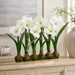 22" Standing Silk Amaryllis Flower Arrangement w/Bulb Base -White - LFA732-WH