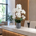 37" Silk Phalaenopsis Orchid Flower Arrangement w/Ceramic Vase -Cream/Green - LFO620-CR/GR