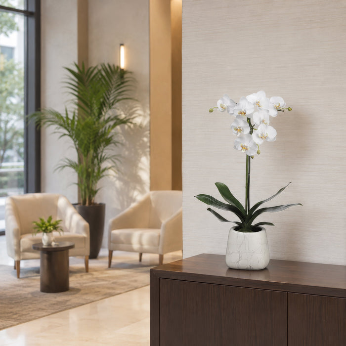 30" Hand-Wrapped Phalaenopsis Orchid Silk Flower Arrangement -White - LHO231-WH