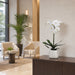 30" Hand-Wrapped Phalaenopsis Orchid Silk Flower Arrangement -White - LHO231-WH