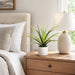 17" Artificial Aloe Plant w/Cement Pot -Green (Pack of 4) - LPA084-GR