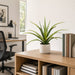 17" Artificial Aloe Plant w/Cement Pot -Green (Pack of 4) - LPA084-GR