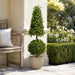 42" Outdoor UV-Resistant Artificial Boxwood Ball & Cone-Shaped Topiary w/Pot, Battery LED Pre-Lit -Green - LPB252-GR