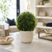 1'4" Boxwood Ball-Shaped Artificial Topiary Tree w/Pot -Green - LPB323-GR