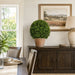 1'10" Boxwood Ball-Shaped Artificial Topiary Tree w/Pot -Green - LPB350-GR