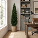 6' Cedar Cone-Shaped Artificial Topiary Tree w/Pot -Green - LPC046-GR