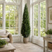 7' Cedar Cone-Shaped Artificial Topiary Tree w/Pot -Green - LPC047-GR