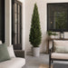 7' Cedar Cone-Shaped Artificial Topiary Tree w/Pot -Green - LPC047-GR