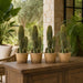 15.5" Artificial Column Cactus Plant w/Papier Mache Pot -Green (Pack of 4) - LPC950-GR