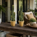 26" Artificial Column Cactus Plant w/Papier Mache Pot -Green (Pack of 2) - LPC951-GR