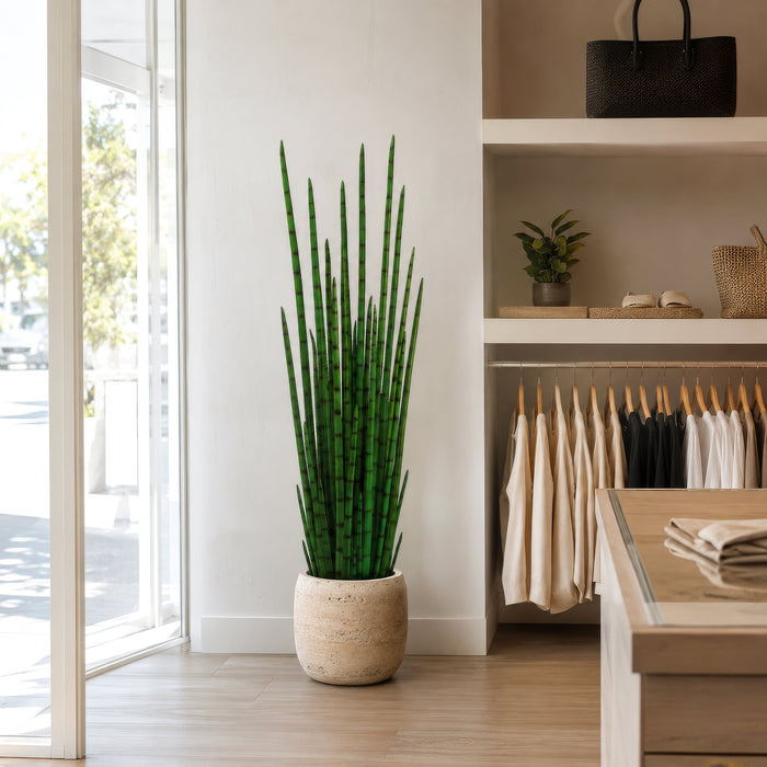 5'3" Sansevieria Snake Grass Artificial Plant w/Pot -Green (Pack of 2) - LPG725-GR