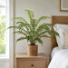 36" Silk Fern Plant w/Pot -Green (Pack of 4) - LQF036-GR