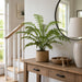 36" Silk Fern Plant w/Pot -Green (Pack of 4) - LQF036-GR