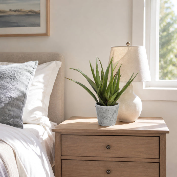 15.5" Aloe Artificial Plant w/Cement Pot -Green - LQS835-GR