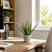 15.5" Aloe Artificial Plant w/Cement Pot -Green - LQS835-GR