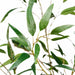 5'10" Silk Eucalyptus Tree w/Pot -Green - LTB032-GR