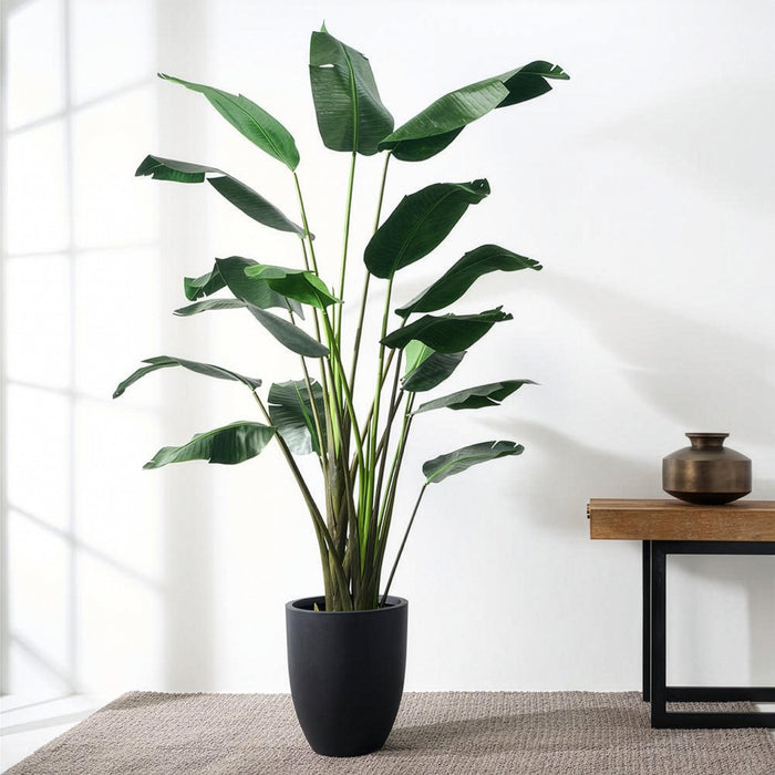7'9" Bird Of Paradise Silk Palm Tree w/Pot -Green (Pack of 2) - LTB608-GR