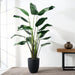 7'9" Bird Of Paradise Silk Palm Tree w/Pot -Green (Pack of 2) - LTB608-GR