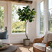 7' Fiddle Leaf Fig Faux Tree w/Pot -Green (Pack of 2) - LTF156-GR