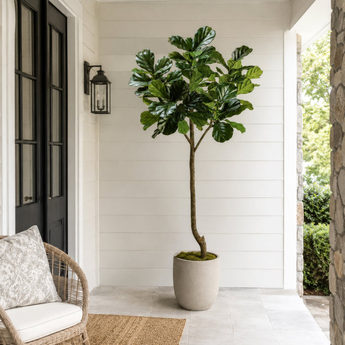 7' Fiddle Leaf Fig Faux Tree w/Pot -Green (Pack of 2) - LTF156-GR