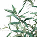 5'10" Silk Olive Tree w/Clay Pot -Green - LTO063-GR