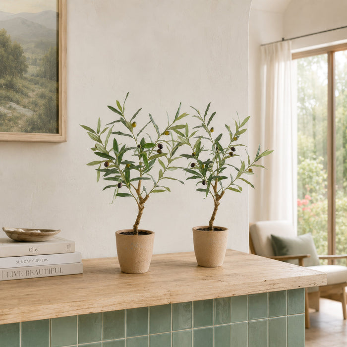2'2" Silk Olive Tree w/Cement Pot -Green (Pack of 2) - LTO138-GR