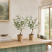 2'2" Silk Olive Tree w/Cement Pot -Green (Pack of 2) - LTO138-GR