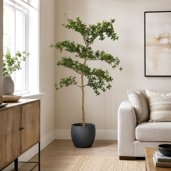 6' Shady Lady Olive Silk Tree w/Pot -Green - LTP933-GR