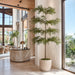 13' Shady Lady Olive Silk Tree w/Pot -Green - LTP935-GR