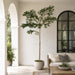 9' Shady Lady Olive Silk Tree V2 w/Pot -Green - LTP936-GR