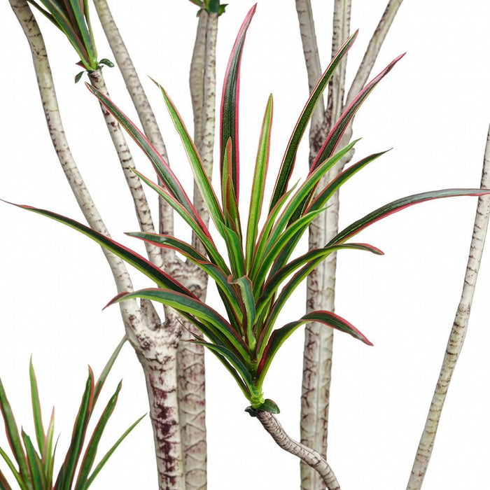6' Outdoor Water-Resistant Artificial Dracaena Marginata Tree w/Pot -Green/Burgundy (Pack of 2) - LPD516-GR/BU