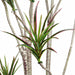 6' Outdoor Water-Resistant Artificial Dracaena Marginata Tree w/Pot -Green/Burgundy (Pack of 2) - LPD516-GR/BU