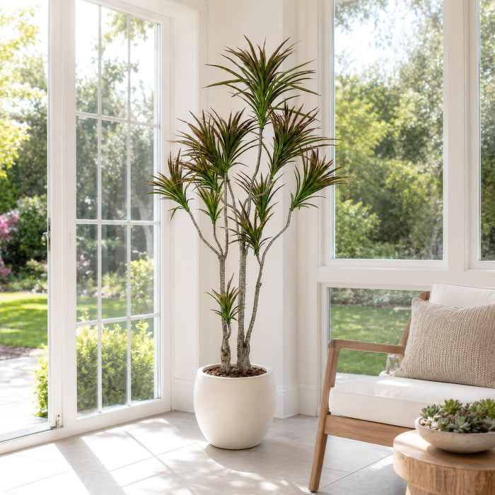 6' Outdoor Water-Resistant Artificial Dracaena Marginata Tree w/Pot -Green/Burgundy (Pack of 2) - LPD516-GR/BU