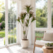 6' Outdoor Water-Resistant Artificial Dracaena Marginata Tree w/Pot -Green/Burgundy (Pack of 2) - LPD516-GR/BU