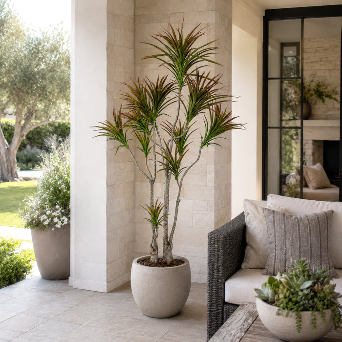 6' Outdoor Water-Resistant Artificial Dracaena Marginata Tree w/Pot -Green/Burgundy (Pack of 2) - LPD516-GR/BU