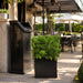 36"Hx34"W Outdoor UV-Resistant Artificial Ming Juniper Topiary Hedge w/Black Glossy Planter -Green - LZJ112-GR