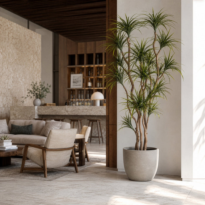 7'4"Hx54"W Dracaena Silk Tree w/Cement Planter -Green/Red - MT8013-GR/RE