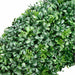 29" Artificial Boxwood Wreath -Green - PWB329-GR