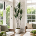 6'2" Multi Trunk Dracaena Silk Tree w/Pot -Green - SAFB125TB