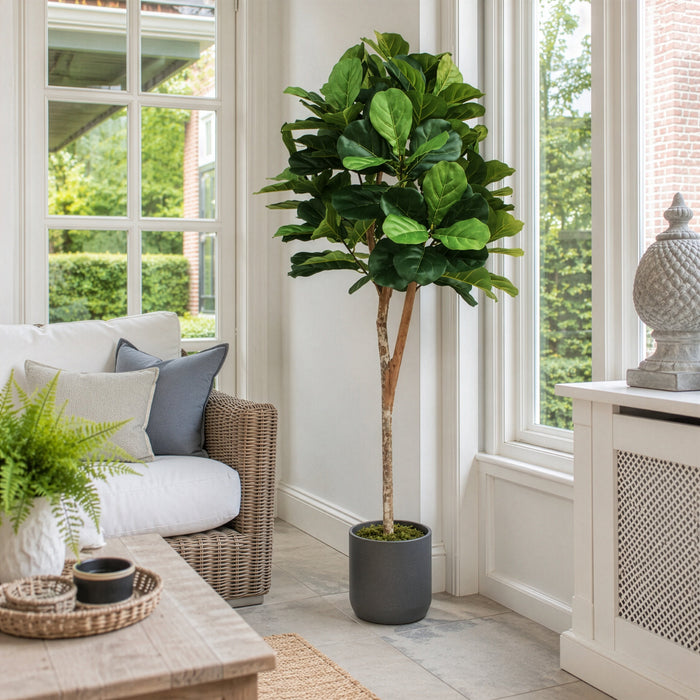 6' Fiddle Leaf Fig Ball-Shaped Topiary Silk Tree w/Pot -Green - SAFB165TJA6