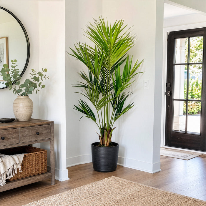 6'4" Silk Kentia Palm Tree w/Pot -Green - SAFB185TC