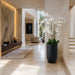 70.5"Hx40"W Phalaenopsis Orchid Silk Flower Arrangement w/Cement Planter -White - WF0749-WH