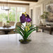19"Hx16"W Vanda Orchid Silk Flower Arrangement w/Glass Vase -Purple - WF0784-PU