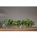 11"Hx45"W Eucalyptus Leaf & Sedum Artificial Flower Arrangement w/Long Metal Planter -2 Tone Green - WF0796-GR/TT